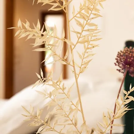 Country house Pozzo Traverso Casale *
